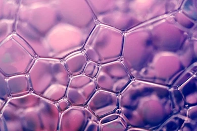 1600x1200 Purple Soap Bubble Macro Desktop PC And Mac Wallpapers