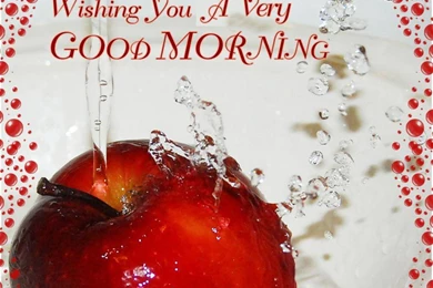 New Day   AmusingFun.com