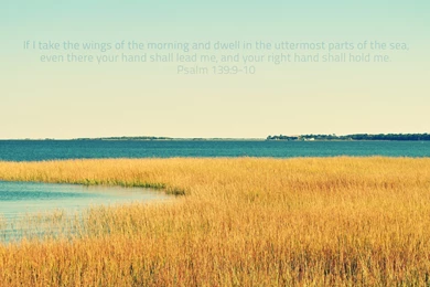 Wallpapers Gud Morning Free Calendars May Challies Dot Com ...