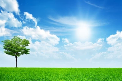 Green Nature iPad Air Wallpapers Download