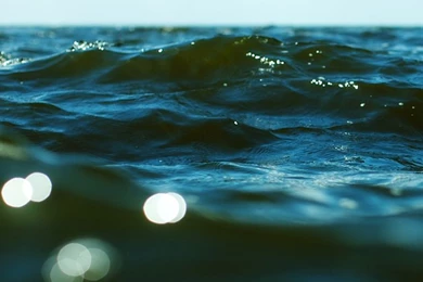 Under Water iPhone Wallpapers