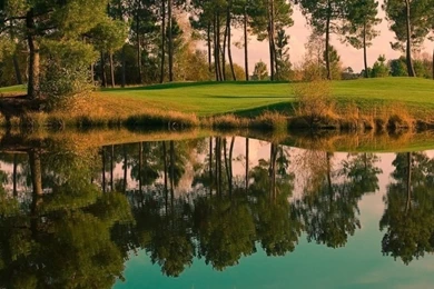 768x1024 Nature & Lake Golf Usa Ipad Mini Wallpapers