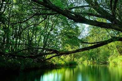 iPad Retina Wallpapers HD   Retina Ready, Stunning Wallpapers ...