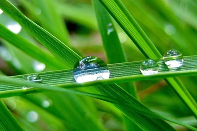 Wallpapers For Ipad Collection (46+)