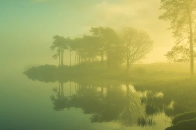 768x1024 Sunrise Nature Fog & Sea Ipad Mini Wallpapers