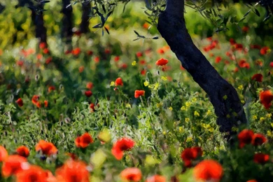 iPad Retina Wallpapers HD   Retina Ready, Stunning Wallpapers