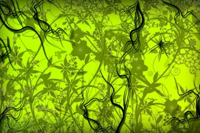 Green Abstract Flowers Vines Wallpapers 287   Free HD Wallpapers ...