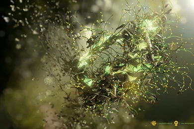 Abstract, Desktopography, Vines :: Wallpapers