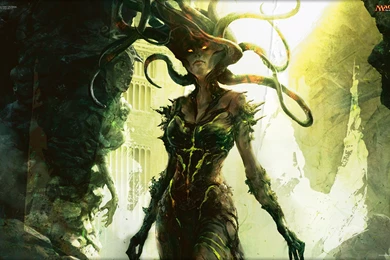 Medusa Wallpapers   Wallpapers Zone