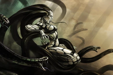 1366x768 Languages, Medusa, Snakes Wallpapers And Pictures 65917