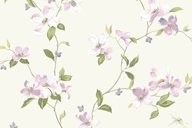 Vines   Wallpapers & Border