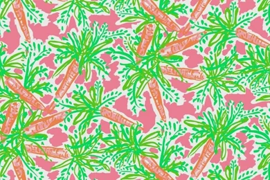 Charming Vineyard Vines Wallpapers — Home Design Lover : The ...