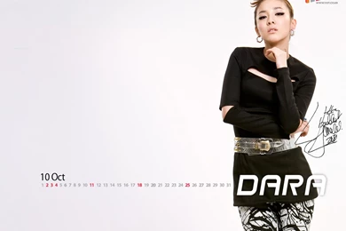 2ne1 11st Wallpapers   DARA 2NE1 Wallpapers (32355019)   Fanpop