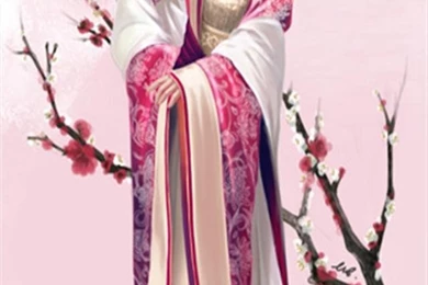 Geisha Girl iPhone Wallpapers, iPhone 5(s)/4(s)/3G Wallpapers
