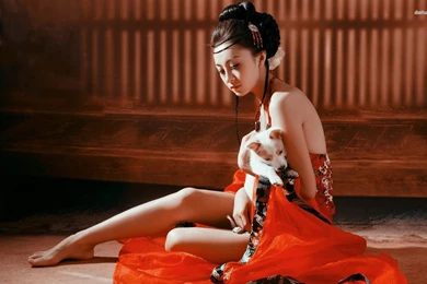 17185 geisha with her puppy 1920x1200 girl wallpaper.jpg