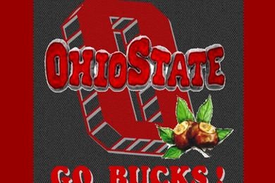 OHIO STATE GO BUCKS WP   Ohio State Buckeyes Wallpapers (23720528 ...