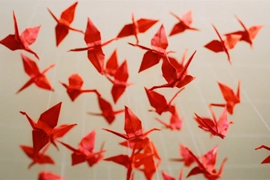 1000 Paper Cranes Vintage Style Wallpapers   1280x800 Wallpapers ...