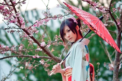 Japanese Wallpapers Beautiful Geisha Wallpapers 2