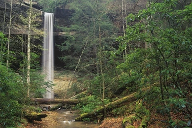 National, Forest, Daniel, Boone, Scenic, Background, Kentucky ...