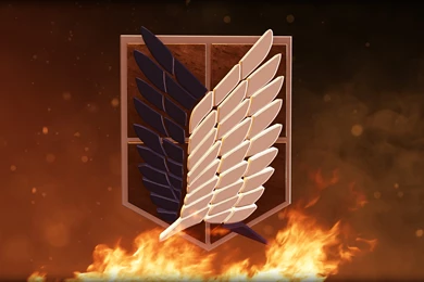 449 Attack On Titan HD Wallpapers