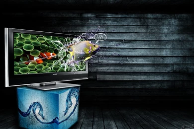 3d Wallpapers Hd Widescreen 1920×1080 Pixel