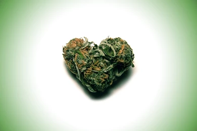 Why To Smoke Marijuana On Valentine's Day