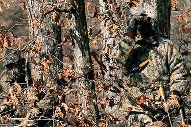 Advantage Classic® Camo