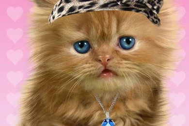 Baby Cat, Cute Live Wallpapers   Android Apps On Google Play