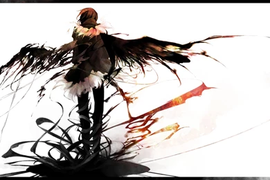Download Wallpapers, Download 2560x1600 Wings Durarara Orihara ...
