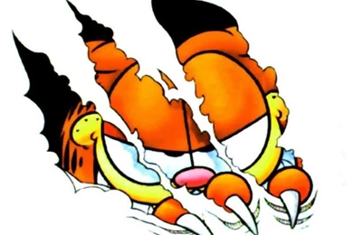 Funny Garfield Wallpapers   Wallpapers Cave