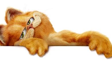 11 HD Garfield Wallpapers   HDWallSource.com