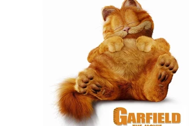 Garfield   Wallpaper.