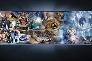 Other: Wolf Africa Native Lion Buffalo Scene Eagle Tiger Wallpapers ...