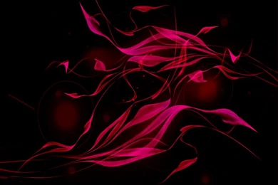 Wallpapers Archives   Tizen Experts