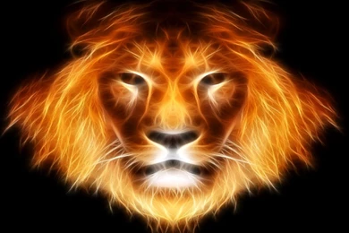 High Definition Lion Wallpapers For Free Download