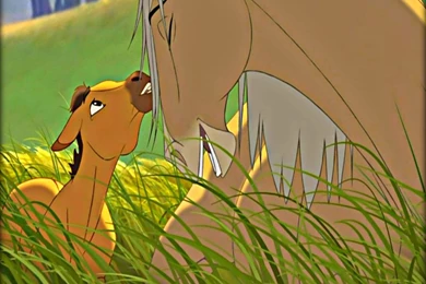 ★ Spirit Stallion Of The Cimarron ☆   Dreamworks Animation ...