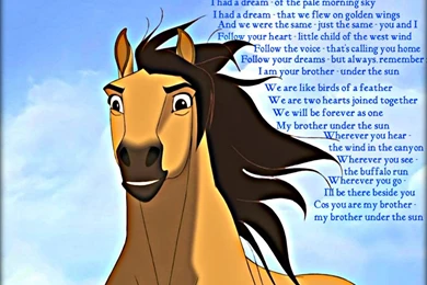 ★ Spirit Stallion Of The Cimarron ☆   Dreamworks Animation ...