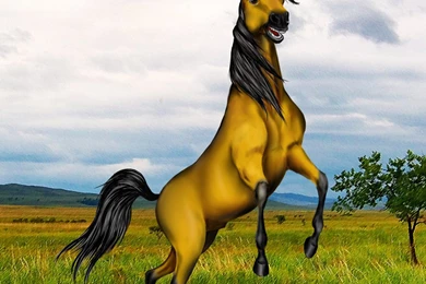 Spirit: Stallion Of The Cimarron By WhiteOrchidee On DeviantArt