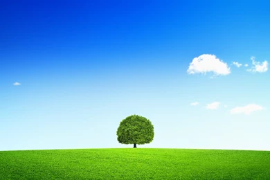 Best HD S Wallpapers