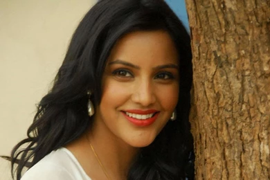 Priya Anand Wallpapers   (1024x768) : Indya101.com