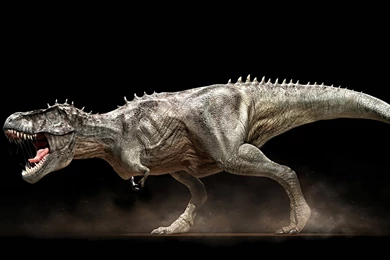 Quality T Rex Wallpapers Pictures . Quality Pictures On Animal ...