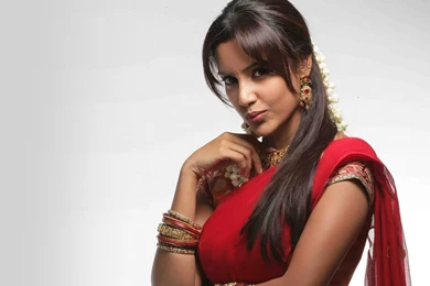 Priya Anand Beautiful HD Wallpapers 2015