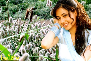 Priya Gill HQ Wallpapers