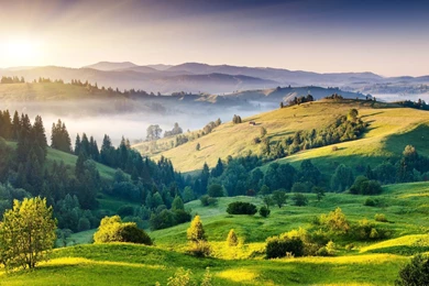 Forest House HD Wallpapers ~ Toptenpack.com