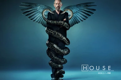 Wallpapers Doctor Who Dr House Tutorart Graphic Design Inspiration ...