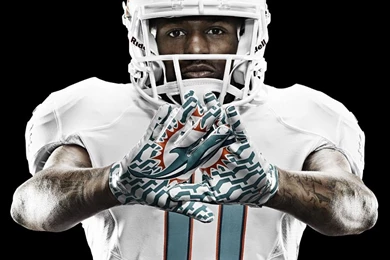 Dolphins 2013 Logo » ISO50 Blog – The Blog Of Scott Hansen (Tycho ...