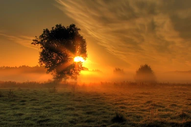 21+ Sunrise Wallpapers, Sunrays, Backgrounds, Images