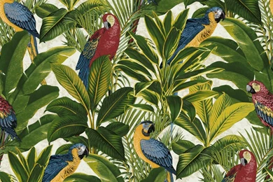 Grandeco Ideco Exotic Bird Pattern Parrot Motif Leaf Wallpapers A11504