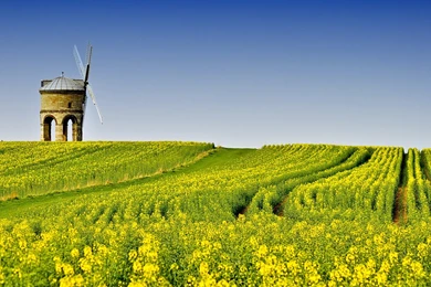 Download Wallpapers Hd