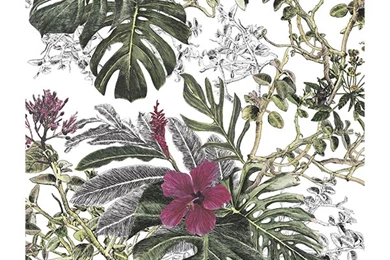 Summer Tropical Bloom Wallpaper  Pre Order Price — Sian Zeng